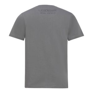 Copy of Courage & Fortitude T-Shirt_charcoal_9